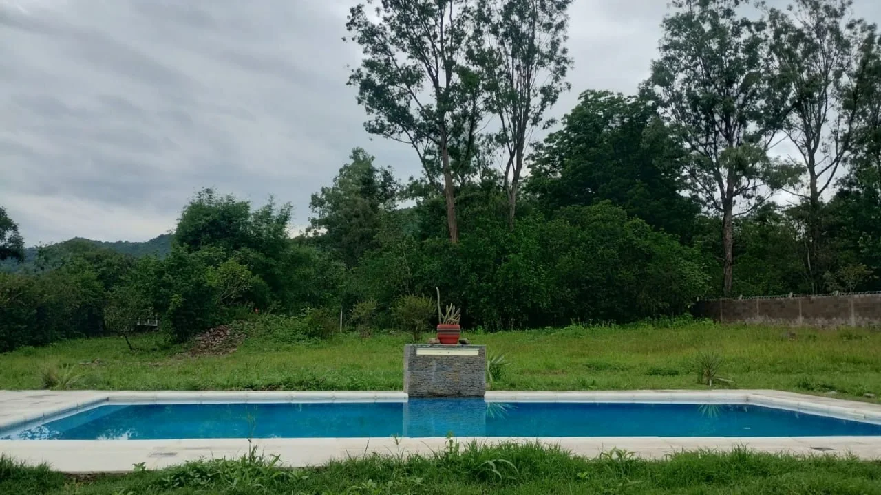 Pileta de 8 por 4 metros junto al espacio verde